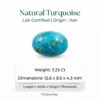 Natural Turquoise Stone – Feroza Nishapuri from Iran