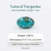 Natural Turquoise Stone – Shajri Feroza from Iran