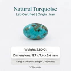 Natural Turquoise Stone – Shajri Feroza from Iran