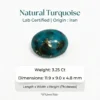 Natural Turquoise Stone – Shajri Feroza from Iran