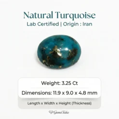Natural Turquoise Stone – Shajri Feroza from Iran