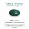 Natural Turquoise Stone – Shajri Feroza