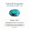 Natural Turquoise Stone – Shajri Feroza