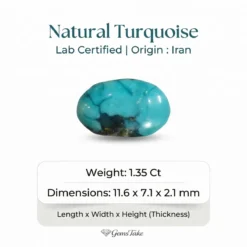 Natural Turquoise Stone – Shajri Feroza