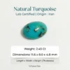Natural Turquoise Stone – Shajri Feroza